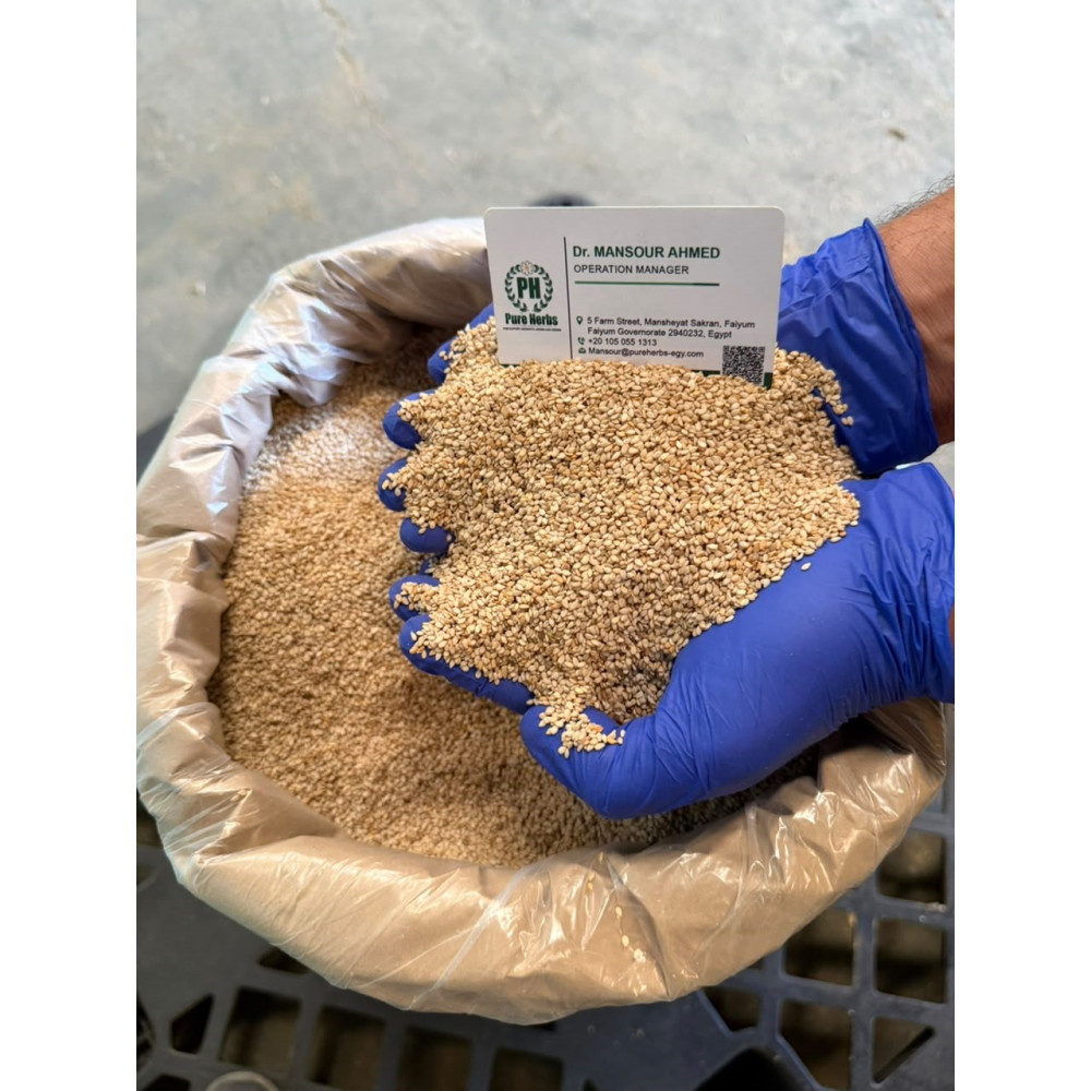 Bulk Egyptian Sesame Seeds (Wholesale) Bulk Egyptian Sesame Seeds (Wholesale)