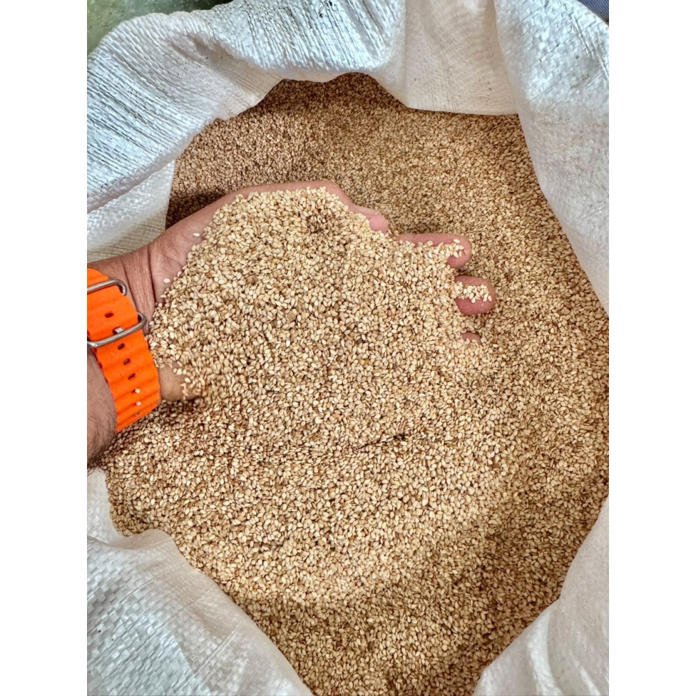 Bulk Egyptian Sesame Seeds (Wholesale) Bulk Egyptian Sesame Seeds (Wholesale)
