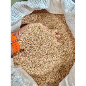 Bulk Egyptian Sesame Seeds (Wholesale)