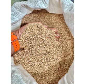 Bulk Egyptian Sesame Seeds (Wholesale)