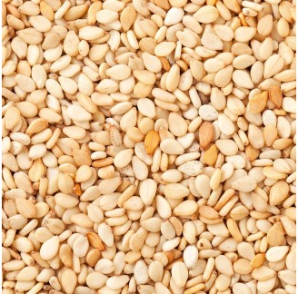 Bulk Egyptian Sesame Seeds (Wholesale)