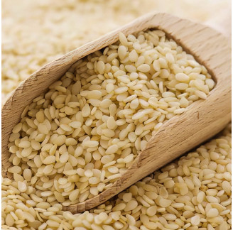 Bulk Egyptian Sesame Seeds (Wholesale)